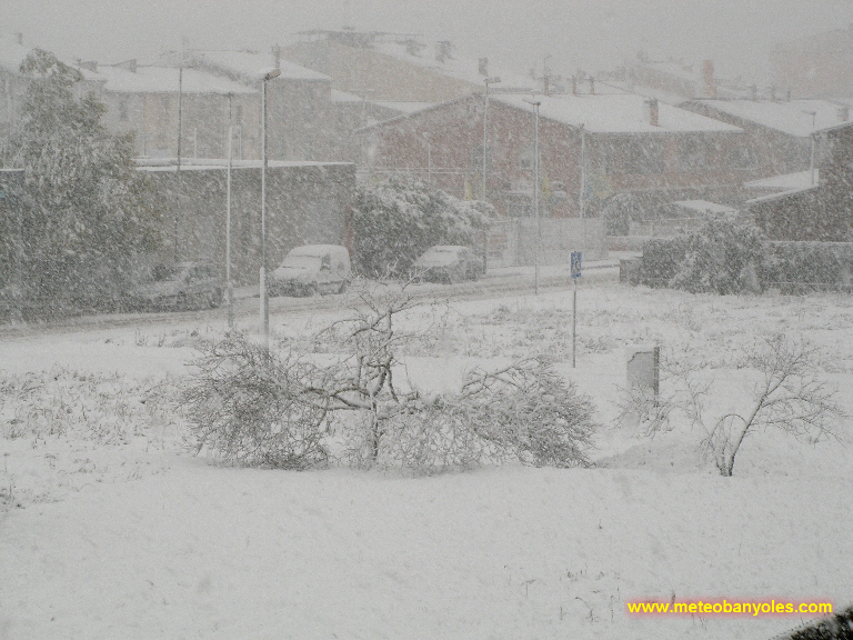 Nevada a Banyoles